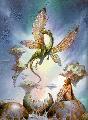 Srkny s gazdja!Fajtja:Butterfly Dragon.