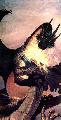 Srknyok!Fajtjuk:Black Dragon.