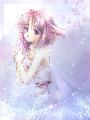 Ayame